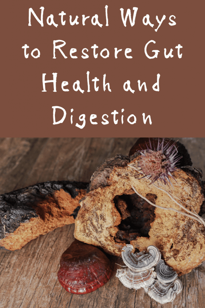 Herbs to Support Gut Health + Hacks to Maintain a Healthy Microbiome ...