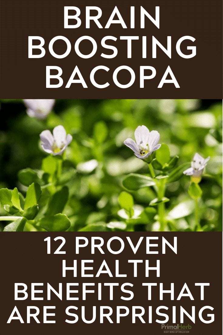 Anxiolytic benefits of Bacopa